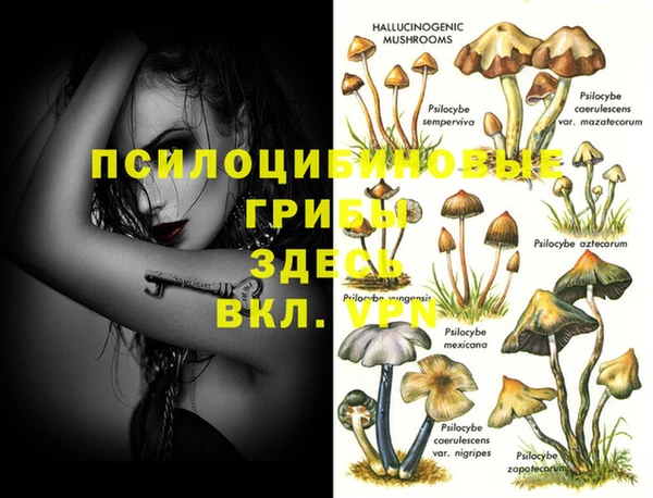 кокс Нягань