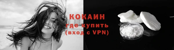 мяу мяу мука Няндома