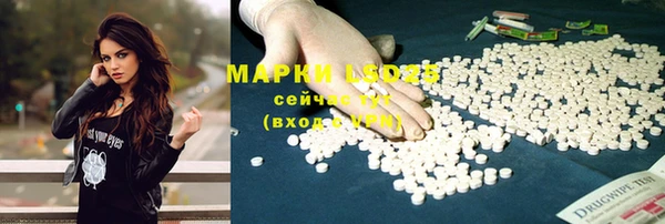 мяу мяу мука Няндома