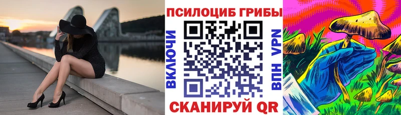Псилоцибиновые грибы Psilocybine cubensis  Купить закладки  Кропоткин 